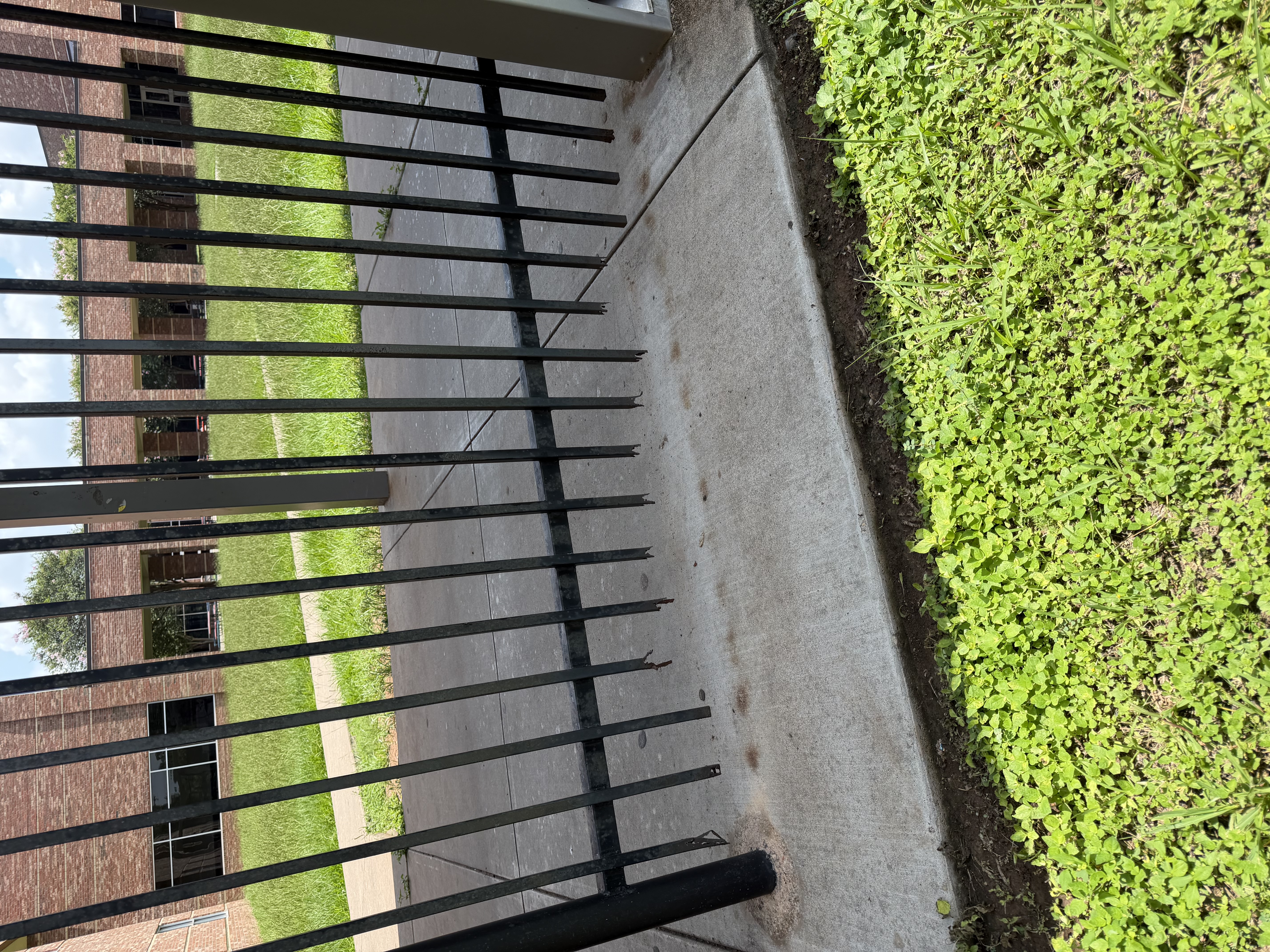 Iron driveway gate Houston ornamental steel Griffin Fence