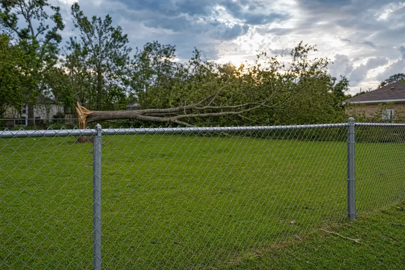 Hurricane-Rated Fence in Houston, TX: What Survives Texas Storm Season